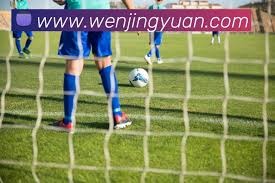 葡萄牙队发布2026世界杯门将球衣设计亮点